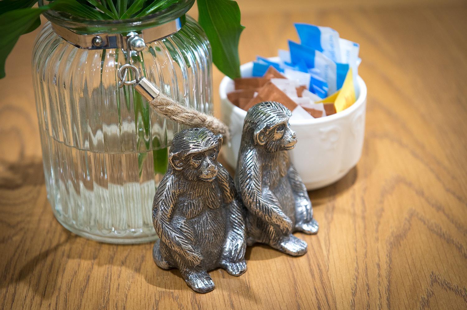 Darwin'S Townhouse Bed & Breakfast Shrewsbury Bagian luar foto Silver monkey salt and pepper shakers
